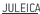 Juleica